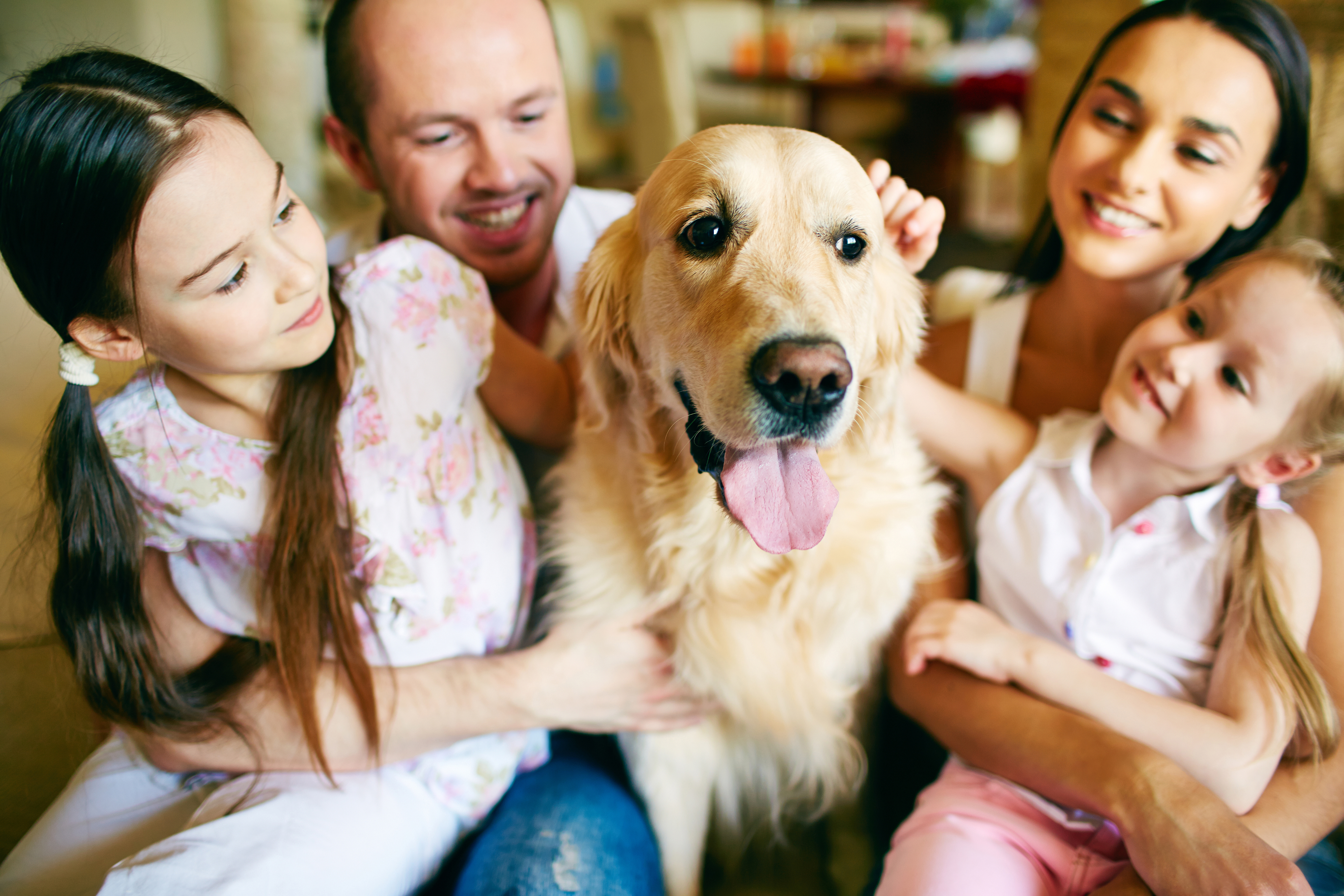 4 pets care. Люди с домашними животными. Домашние животные для детей. Ребенок и домашние живот. Человек с домашним Живон.