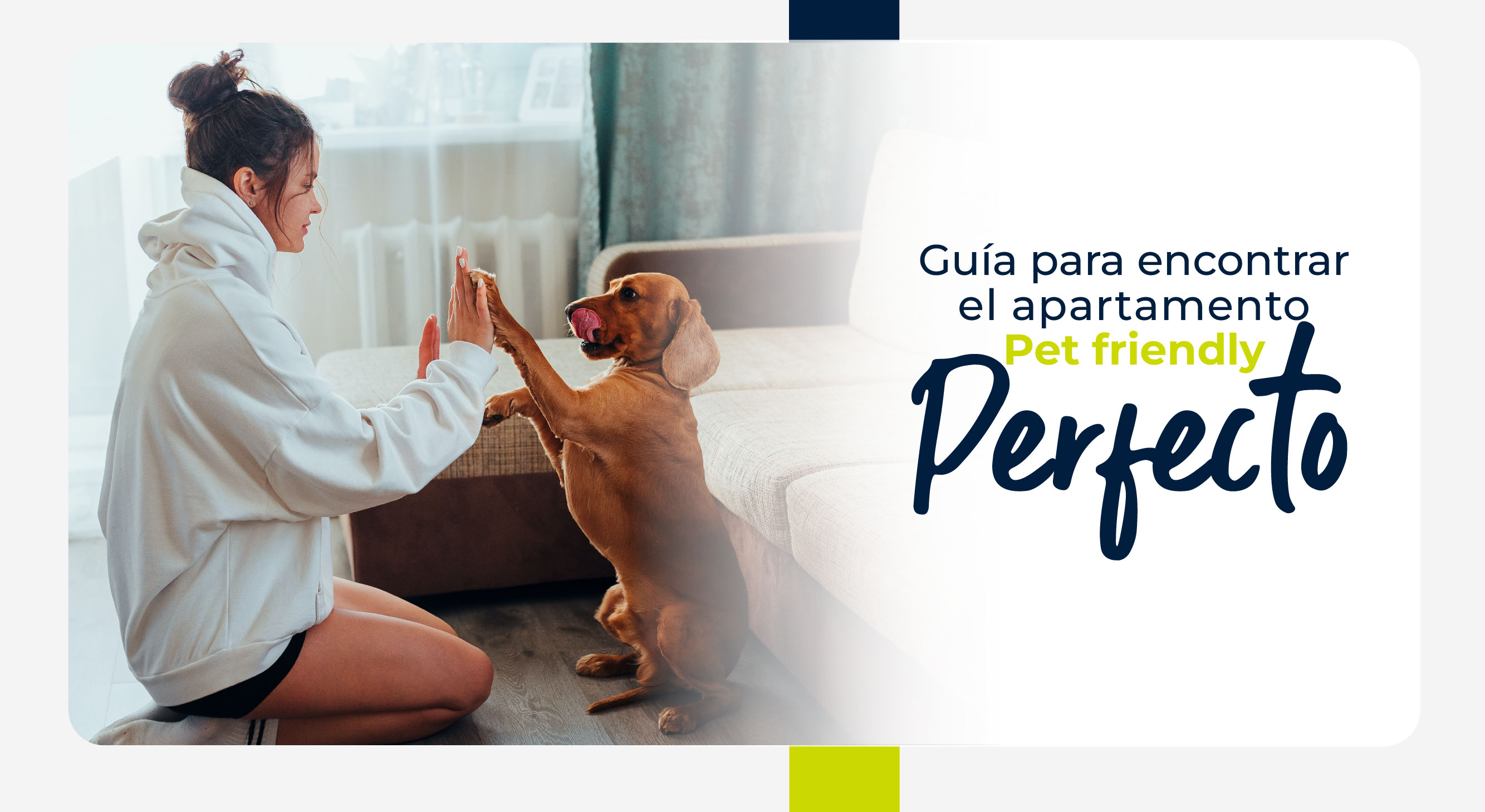 Tu mascota es bienvenida: Guía para encontrar el apartamento Pet Friendly perfecto