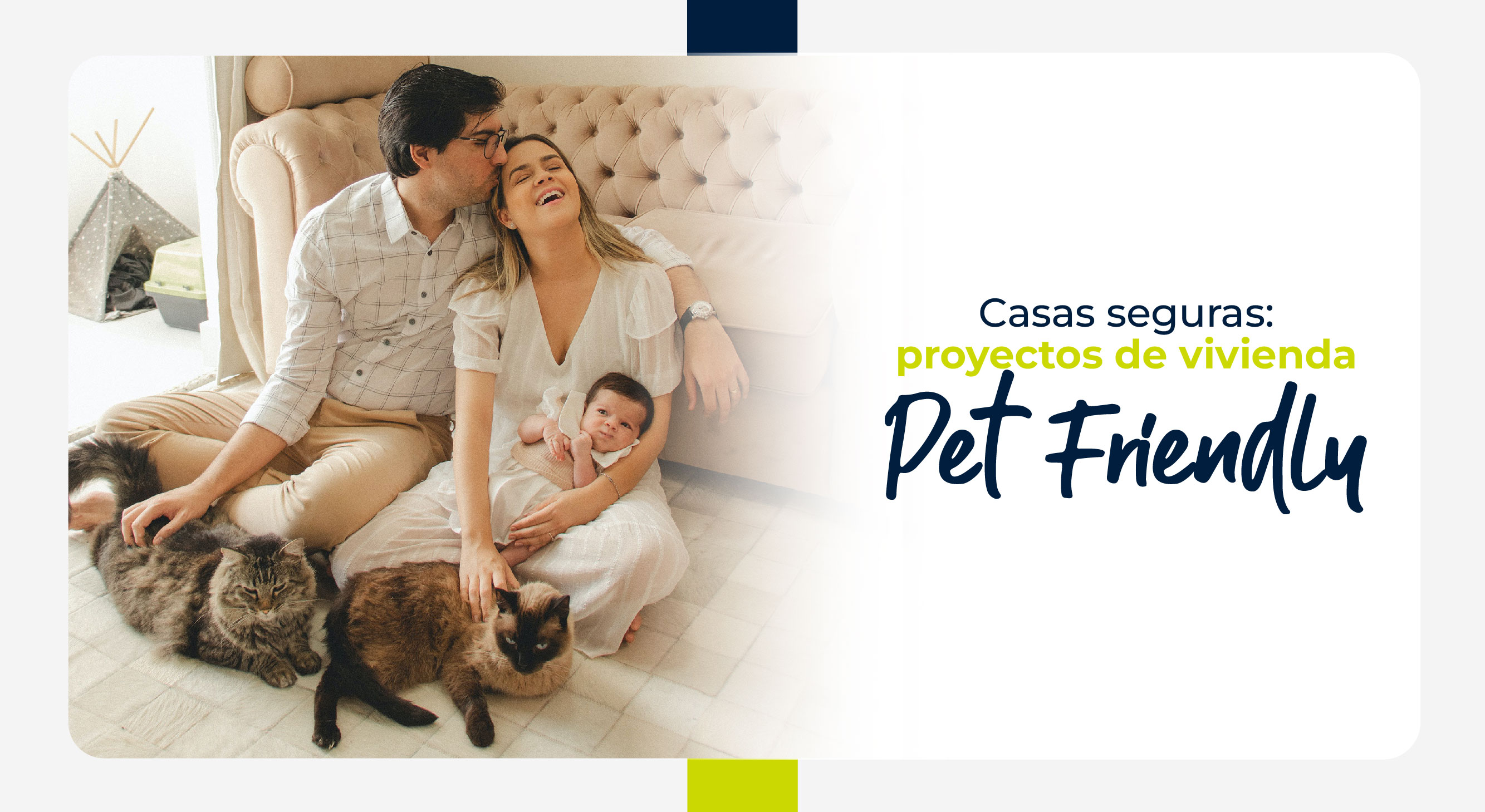 Casas seguras: Proyectos de vivienda pet-friendly