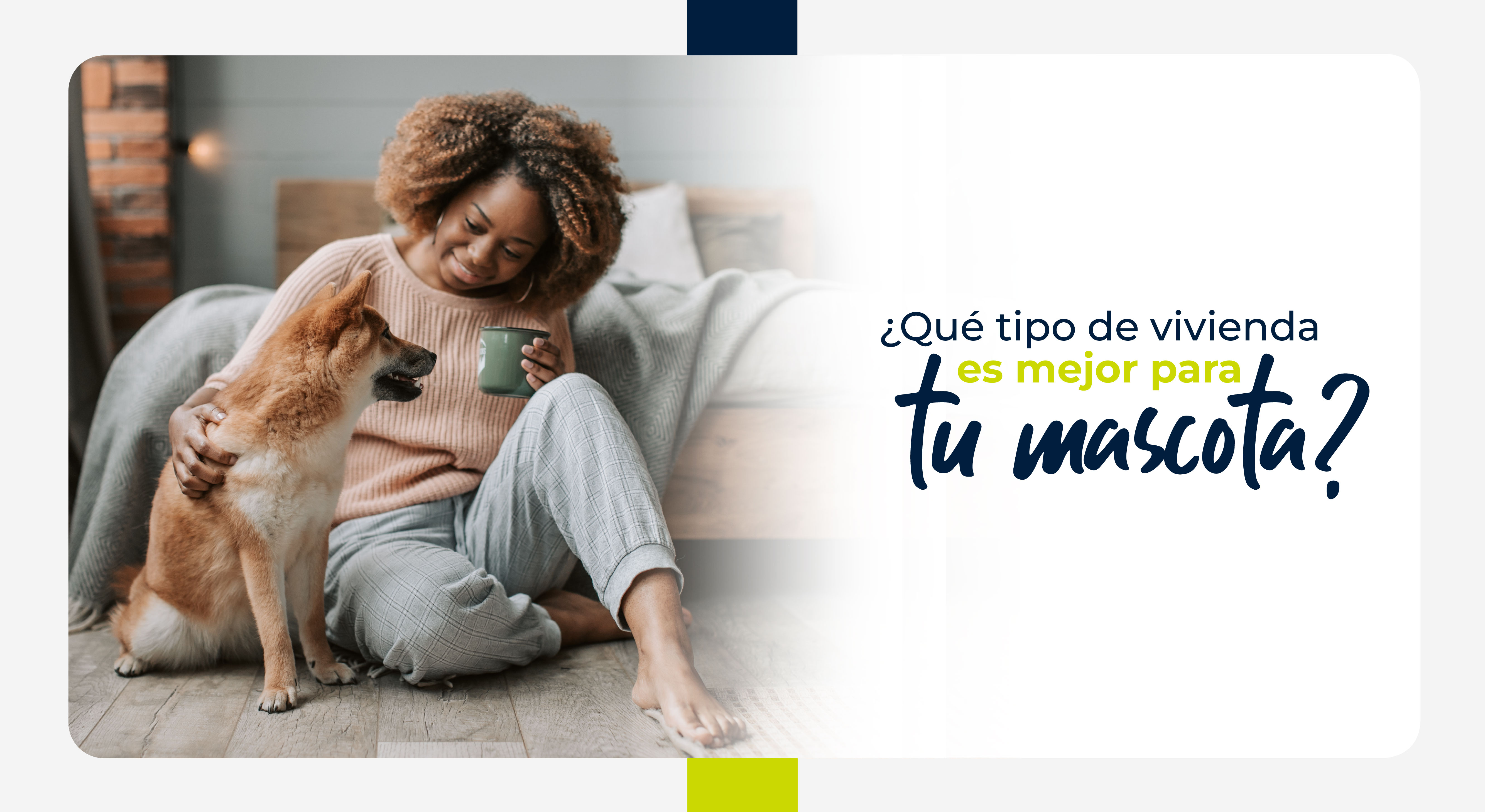 ¿Qué tipo de vivienda es mejor para tu mascota?