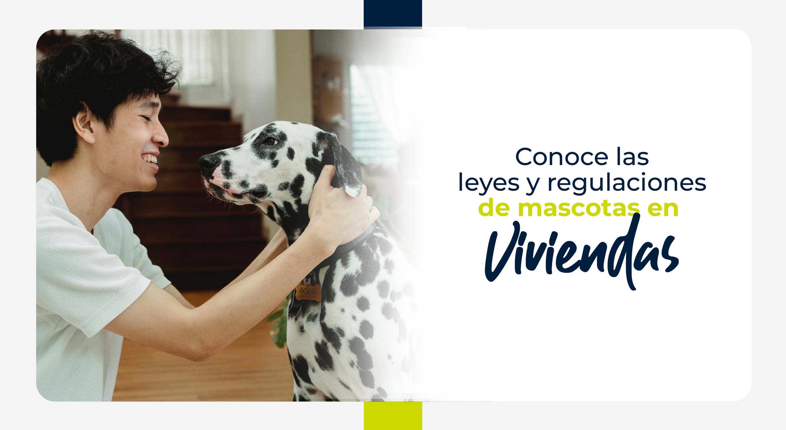¿Puedo tener una mascota aquí? Conoce las leyes y regulaciones de mascotas en viviendas