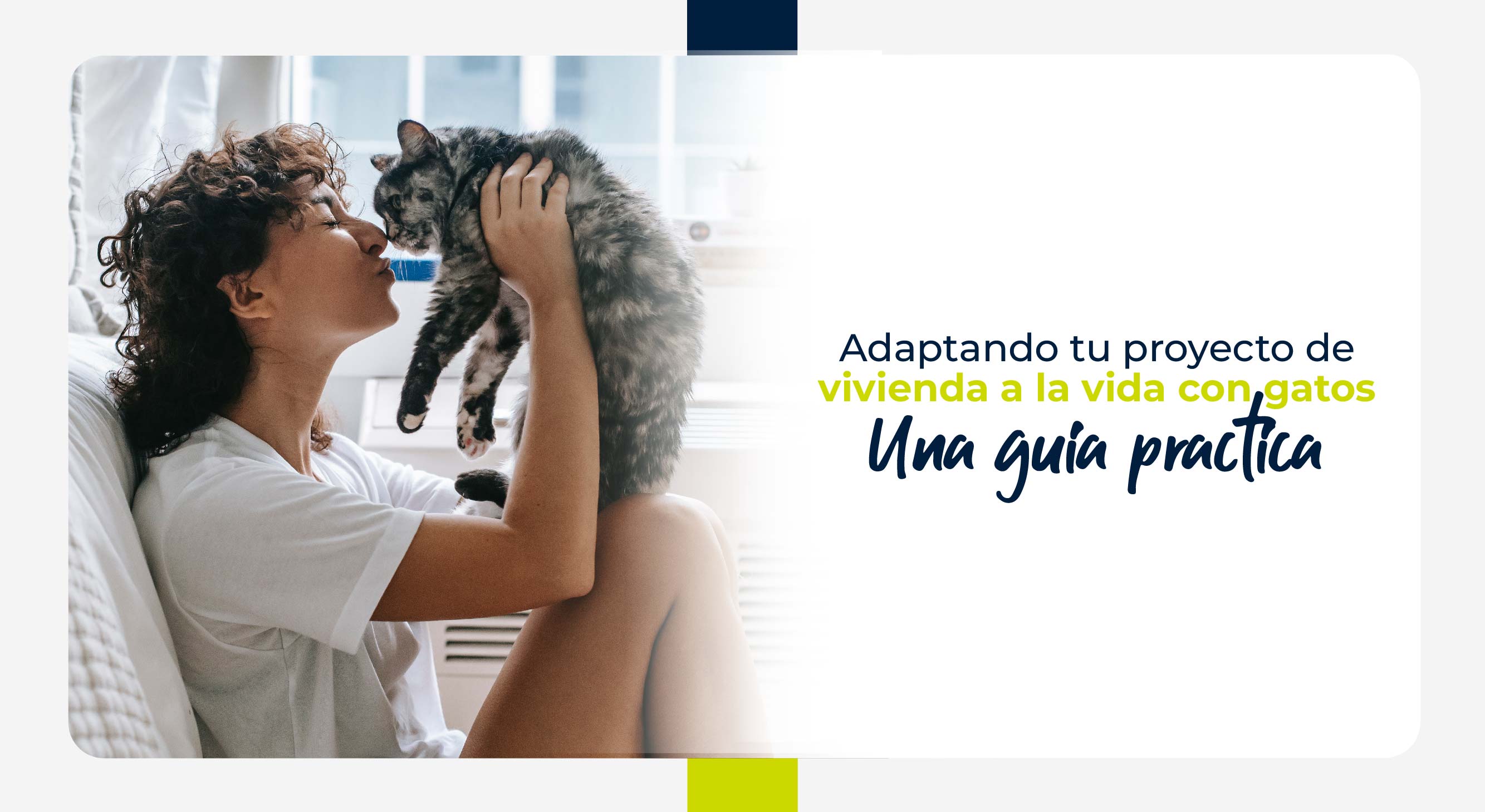 Adaptando tu proyecto de vivienda a la vida con gatos: una guía práctica