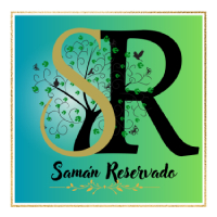 Imagen proyecto