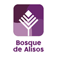Imagen proyecto