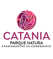Imagen proyecto