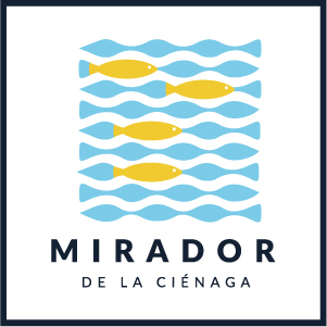 Imagen proyecto