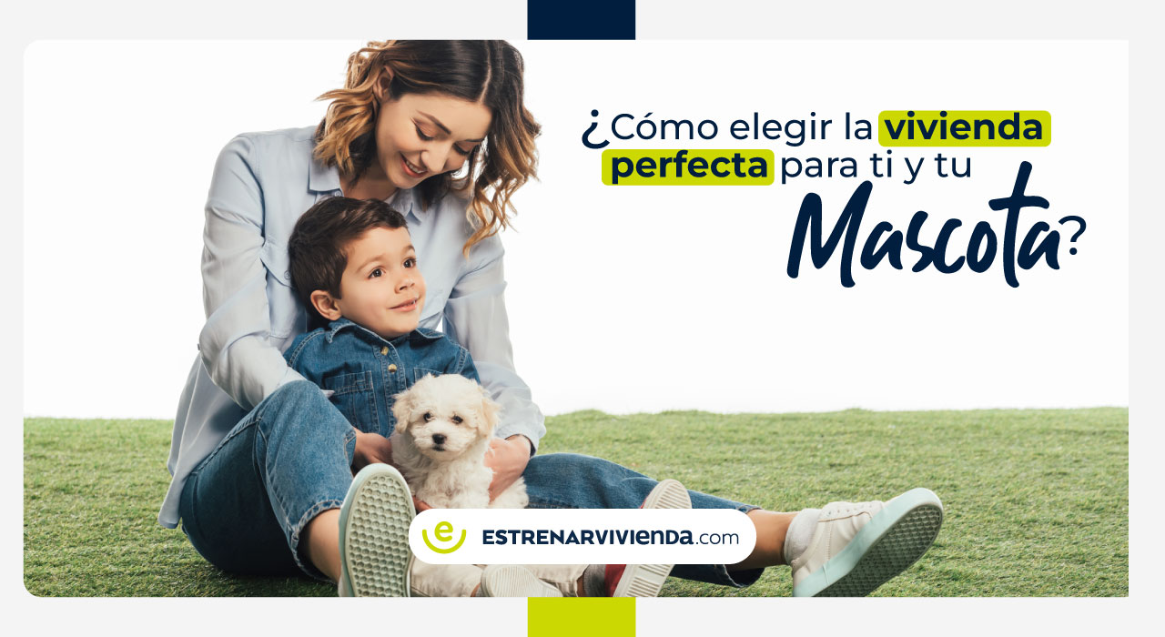 Armonía hogareña: Cómo elegir la vivienda perfecta para ti y tu mascota