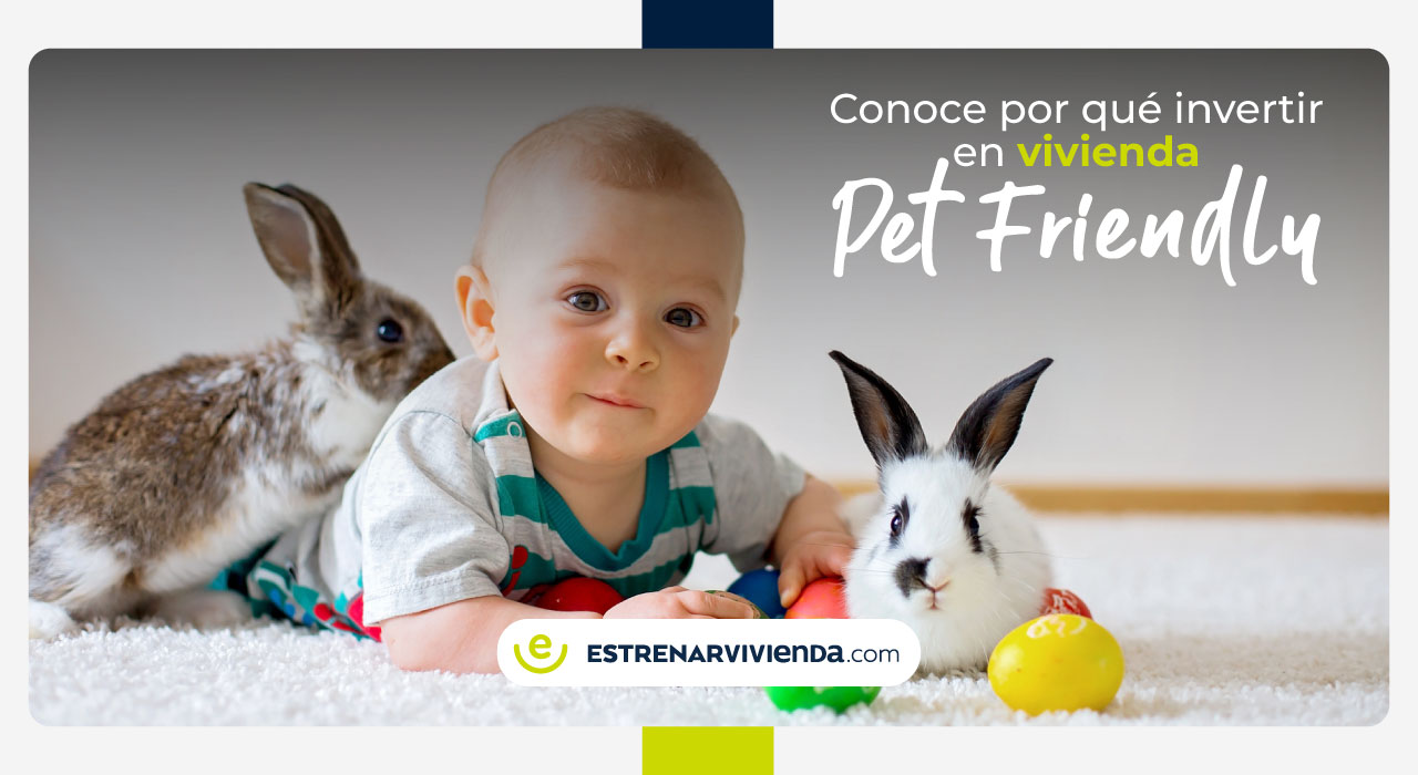 ¿Por qué invertir en vivienda Pet Friendly?