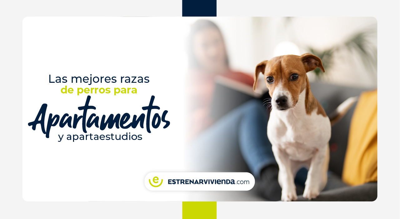 Las Mejores Razas de Perros para Apartamentos y Apartaestudios