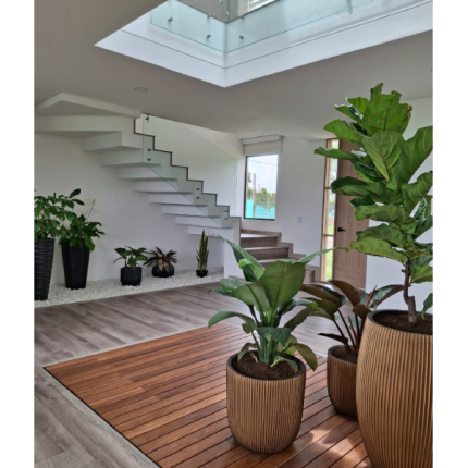 Imagen del inmueble