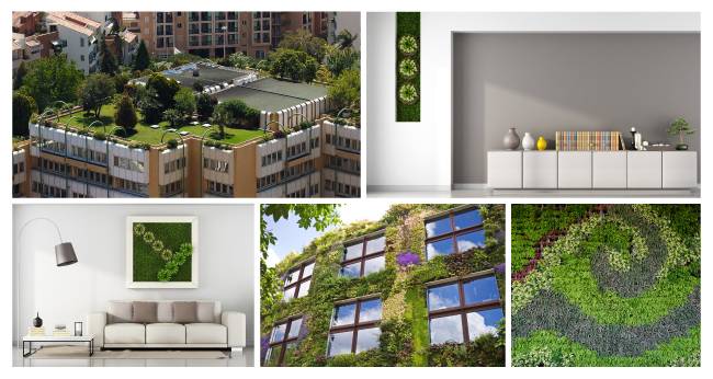 La gran apuesta de los jardines verticales